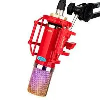 Alctron CM6X Pro Fet Микрофон конденсаторный студийный